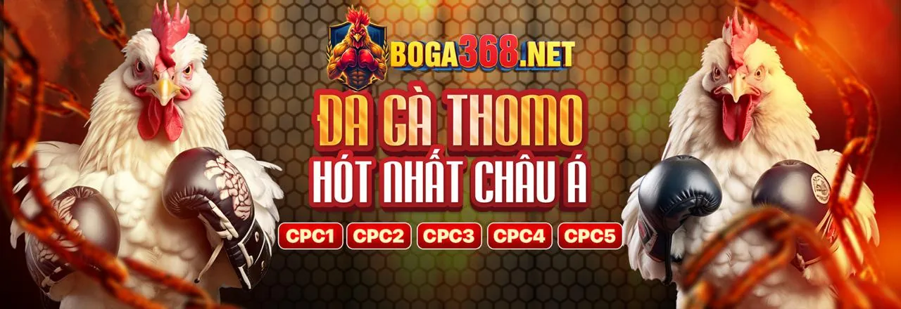 Trận đá gà kịch tính tại AU88