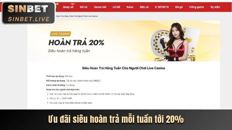 Xác nhận đăng nhập và trải nghiệm